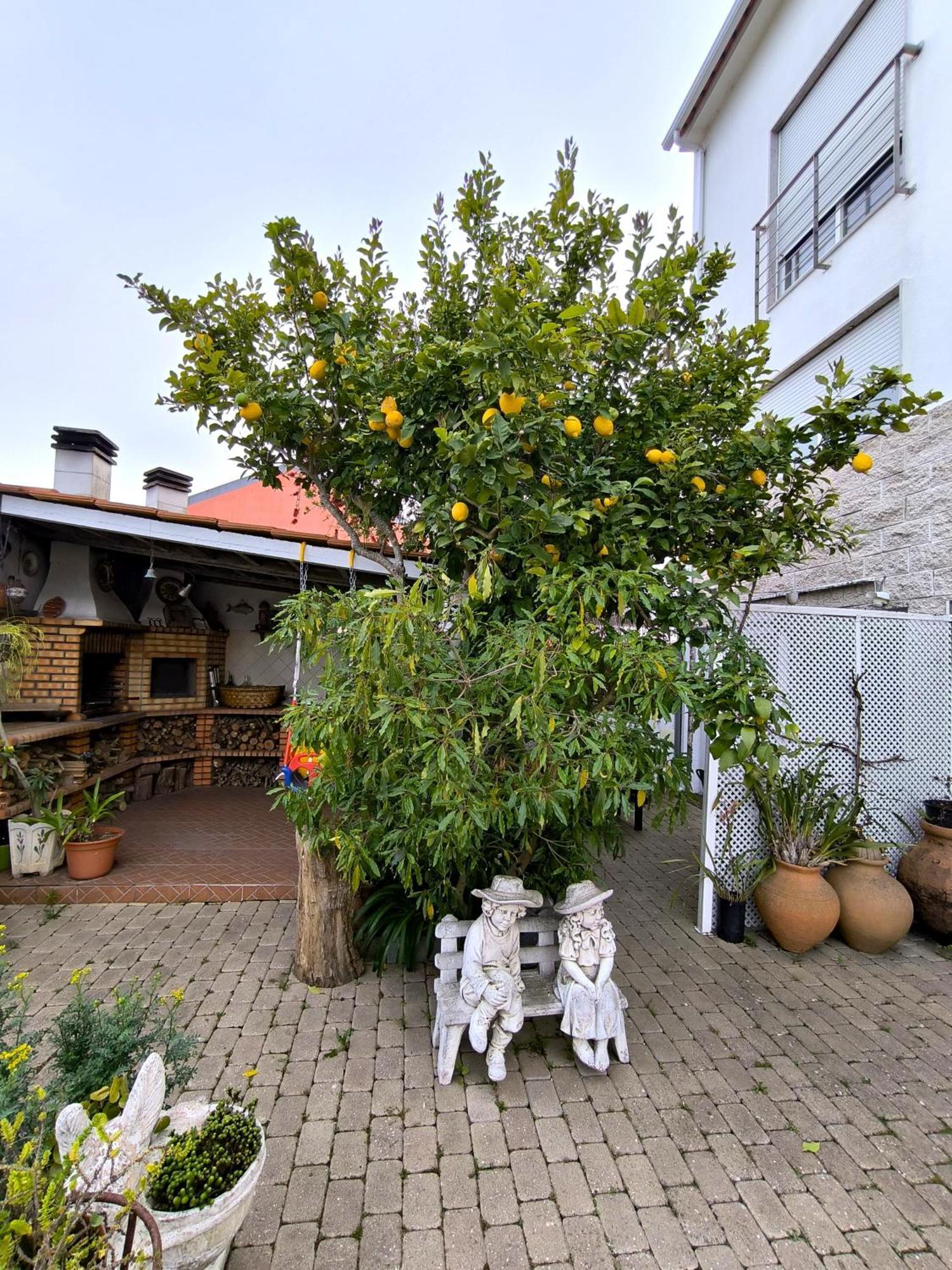 דירות סנטה איריה דה אזויה The Sun House מראה חיצוני תמונה