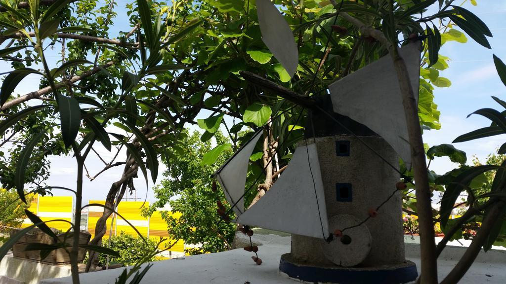 דירות סנטה איריה דה אזויה The Sun House מראה חיצוני תמונה